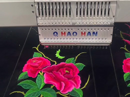 2026������廨����Ƶ28