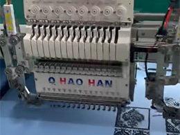 2026������廨����Ƶ31